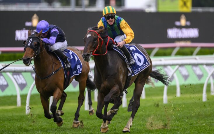 例如金州勇 例如金州勇