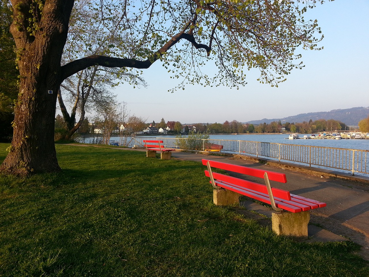 毅行不仅仅 毅行不仅仅